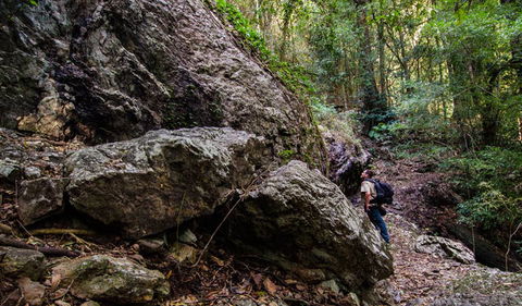 Woko National Park - Accommodation NSW 2