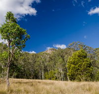 Brush Turkey track - Accommodation NSW