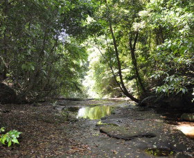 State Forests Of The Watagan Mountains - Accommodation NSW 1