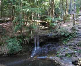 State Forests Of The Watagan Mountains - Accommodation NSW 3
