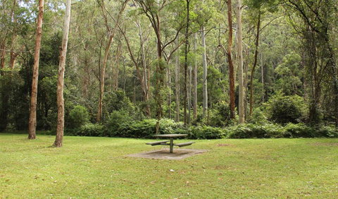 Dharug National Park - Accommodation NSW 3