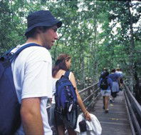 Bellthorpe National Park - Accommodation NSW