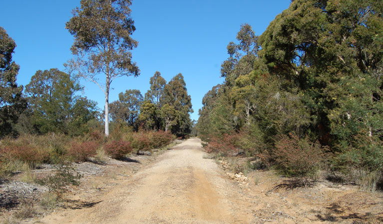 Elrington NSW Accommodation NSW