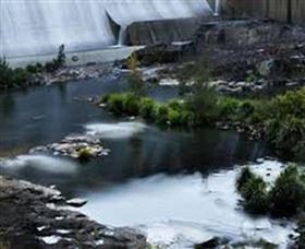 Chichester Dam - Accommodation NSW 1