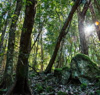 Copeland Tops State Conservation Area - Accommodation NSW