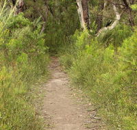Three Views walking track - Accommodation NSW