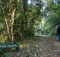 Basin Loop track - Accommodation NSW