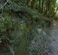 Hidden Treasure track - Accommodation NSW