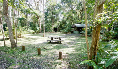 Toonumbar National Park - Accommodation NSW 3