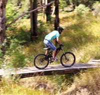 The Steps Mountain Bike Park - Accommodation NSW
