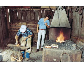 Tocal Homestead - Accommodation NSW 1