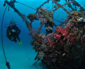 Severance Shipwreck Dive Site - Accommodation NSW 0