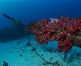 Severance Shipwreck Dive Site - Accommodation NSW 2