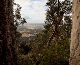 Heaton State Forest - Watagan Mountains - Accommodation NSW 1
