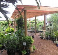 Country Elegance Gardens and Gifts - Accommodation NSW