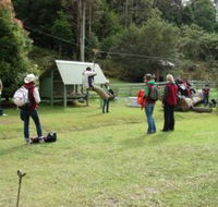 Forest of Tranquillity - Australian Rainforest Sanctuary - Accommodation NSW