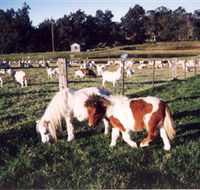 Trudgalong Farm - Accommodation NSW