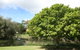 Hervey Bay Botanic Gardens - thumb 0