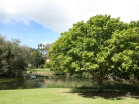 Hervey Bay Botanic Gardens - Accommodation NSW 0