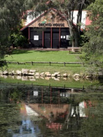 Hervey Bay Botanic Gardens - Accommodation NSW 1