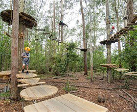 TreeTop Adventure Park Central Coast - Accommodation NSW 1