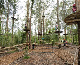 TreeTop Adventure Park Central Coast - Accommodation NSW 5