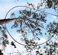 TreeTops Crazy Rider - Accommodation NSW