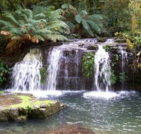 Barrington Tops National Park Walks - Accommodation NSW
