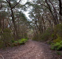 Budawang National Park - Accommodation NSW