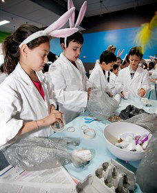 Australian Nuclear Science And Technology Organisation - Accommodation NSW 1