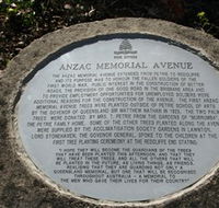 Anzac Memorial Avenue Redcliffe - Accommodation NSW