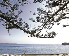 Terrigal Beach - Accommodation NSW 0