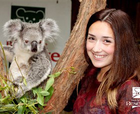 Blackbutt Reserve - Accommodation NSW 0