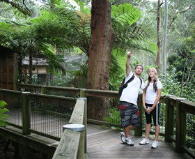 Blackbutt Reserve - Accommodation NSW 1