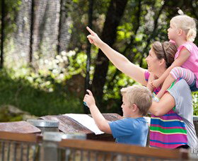 Blackbutt Reserve - Accommodation NSW 4