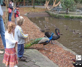 Blackbutt Reserve - Accommodation NSW 5