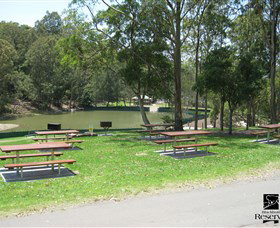 Blackbutt Reserve - Accommodation NSW 7