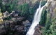 Minnamurra Rainforest Centre: Budderoo National Park - thumb 0