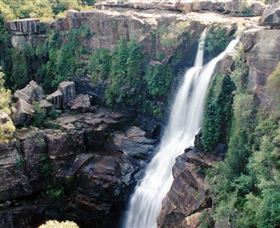 Minnamurra Rainforest Centre: Budderoo National Park - Accommodation NSW 0