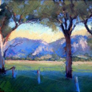 Galleries In The Gardens - Accommodation NSW 4