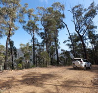 Wadbilliga Road drive - Accommodation NSW