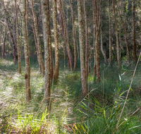 Anabranch loop track - Accommodation NSW