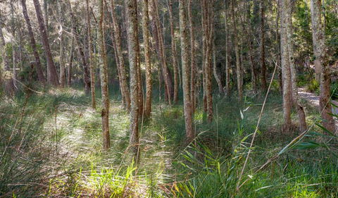 Anabranch Loop Track - Accommodation NSW 0