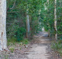 Delta track - Accommodation NSW