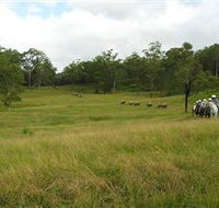 Numinbah Valley Adventure Trails - Accommodation NSW