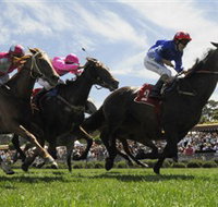 Moruya Racecourse - Accommodation NSW