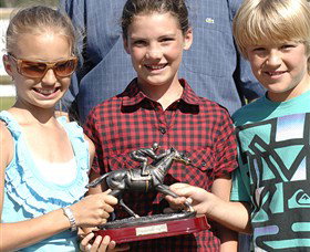 Moruya Racecourse - Accommodation NSW 2