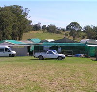 Tinonee Orchid Nursery - Accommodation NSW