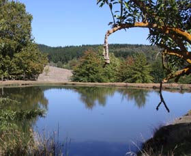 Oak Grove Walk, Balingup - Accommodation NSW 0