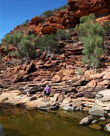 Inland Gorges - Accommodation NSW 2
